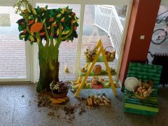 IMG_20181004_122815.jpg